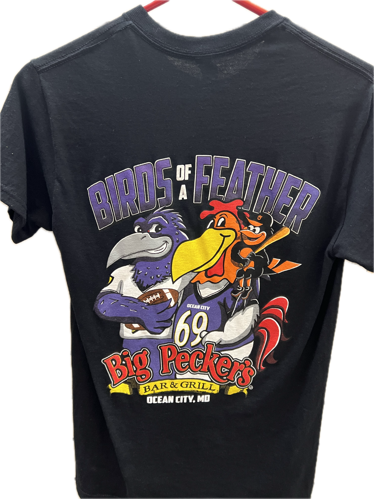 Big Pecker's Birds of a Feather (T-Shirt)